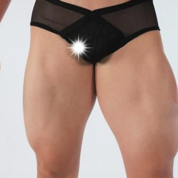 Gregg Homme X-TREME Mesh Brief, Size Large - Picture 2 of 4